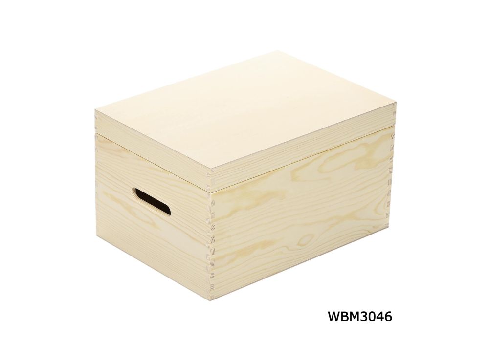 Shops large wooden toy box